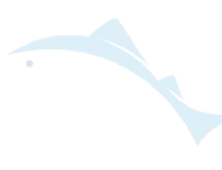 Dolphin icon